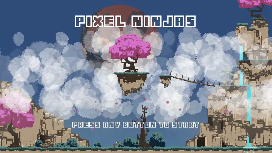 Pixel Ninjas